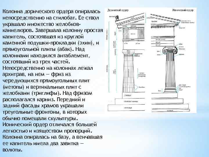 Колонна дорического ордера опиралась непосредственно на стилобат. Ее ствол украшало множество желобковканнелюров. Завершала колонну