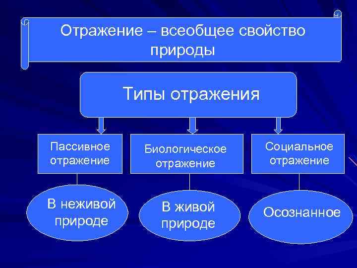 Отражение – всеобщее свойство природы Типы отражения Пассивное отражение Биологическое отражение Социальное отражение В