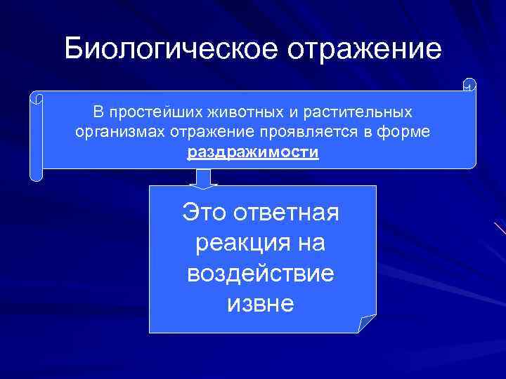 Биологическое отражение В простейших животных и растительных организмах отражение проявляется в форме раздражимости Это