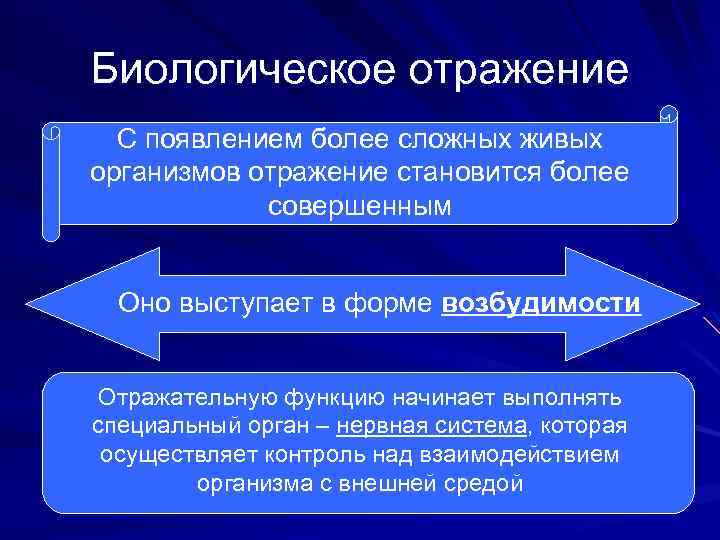 Биологическое отражение С появлением более сложных живых организмов отражение становится более совершенным Оно выступает