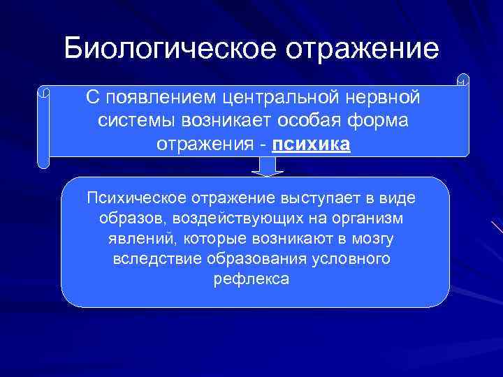 Биологическое отражение С появлением центральной нервной системы возникает особая форма отражения - психика Психическое