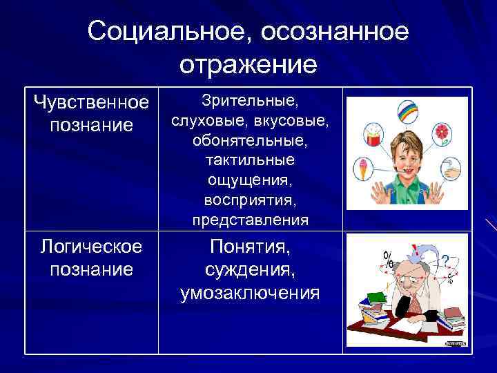 Социальное, осознанное отражение Чувственное познание Зрительные, слуховые, вкусовые, обонятельные, тактильные ощущения, восприятия, представления Логическое