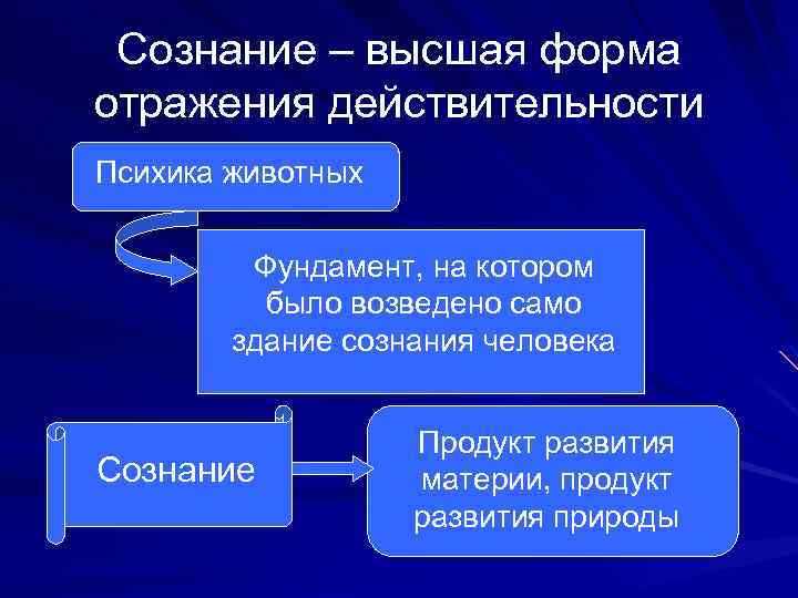 Сознание – высшая форма отражения действительности Психика животных Фундамент, на котором было возведено само