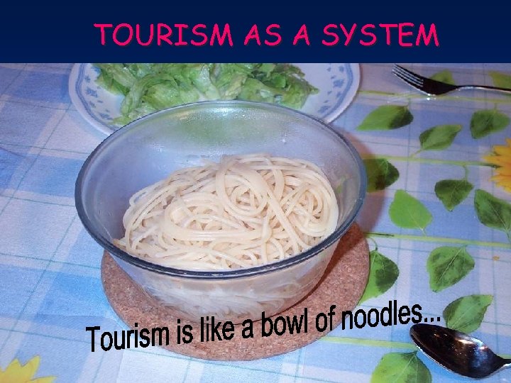 TOURISM AS A SYSTEM 