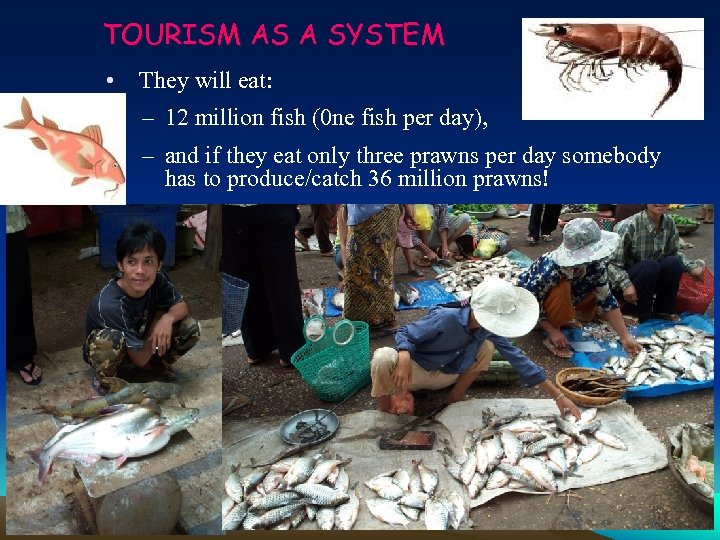 TOURISM AS A SYSTEM • They will eat: – 12 million fish (0 ne
