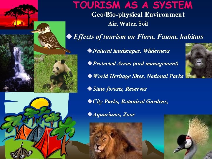 TOURISM AS A SYSTEM Geo/Bio-physical Environment Air, Water, Soil u Effects of tourism on