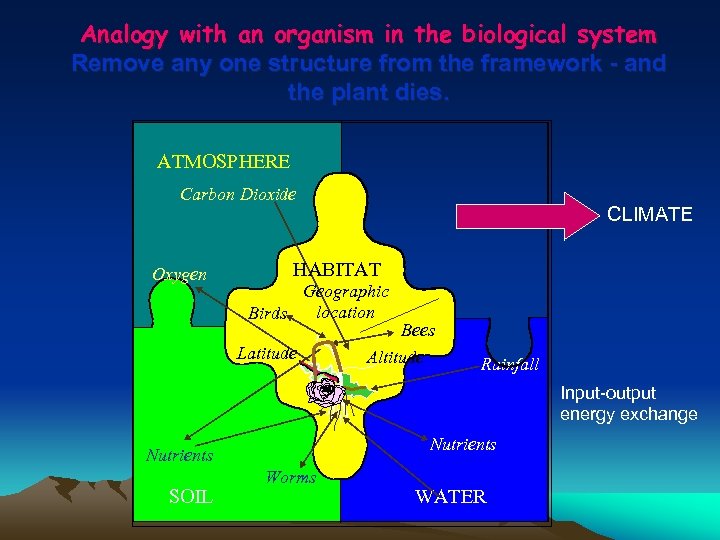 Analogy with an organism in the biological system Remove any one structure from the