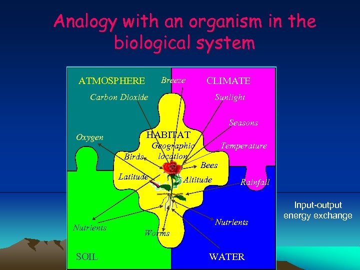 Analogy with an organism in the biological system Breeze ATMOSPHERE CLIMATE Carbon Dioxide Sunlight