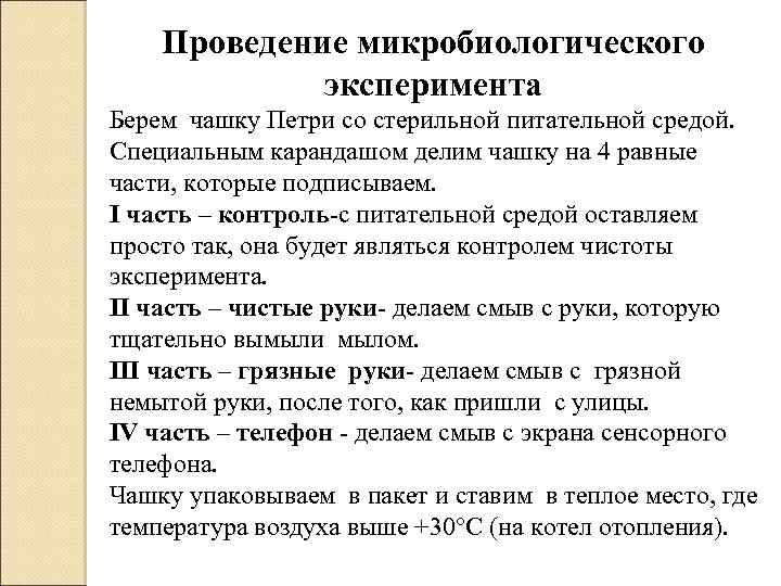 Проведение микробиологического эксперимента Берем чашку Петри со стерильной питательной средой. Специальным карандашом делим чашку