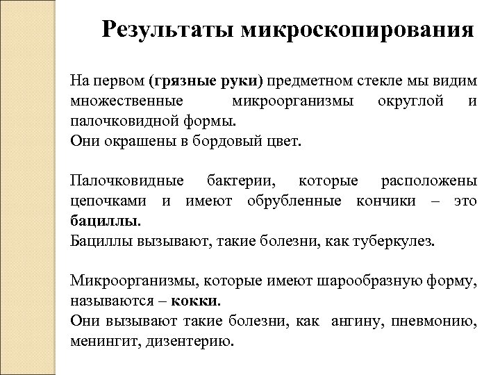 Результаты микроскопирования На первом (грязные руки) предметном стекле мы видим множественные микроорганизмы округлой и