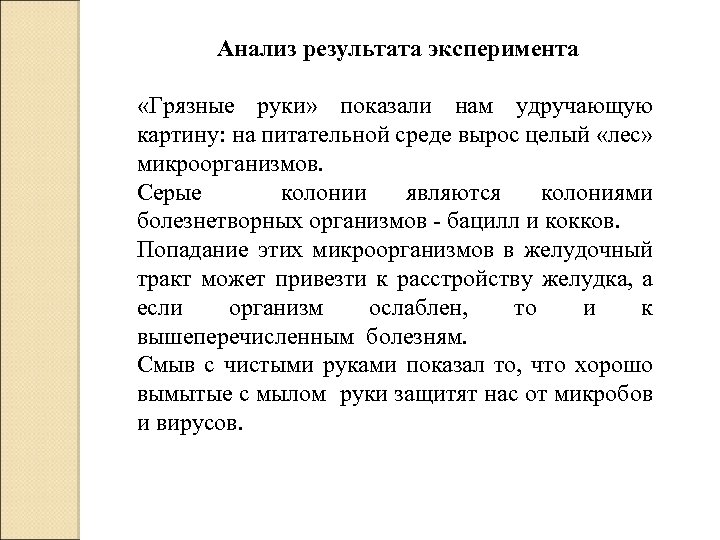 Анализ результата эксперимента «Грязные руки» показали нам удручающую картину: на питательной среде вырос целый