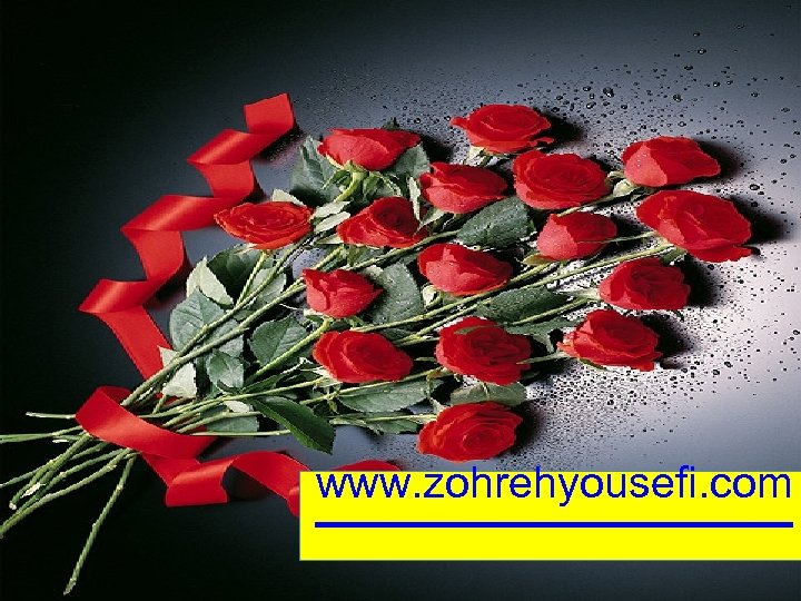 www. zohrehyousefi. com 