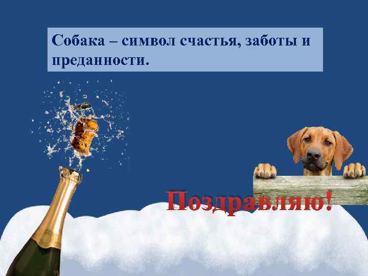 Собака – символ счастья, заботы и преданности. Поздравляю! 