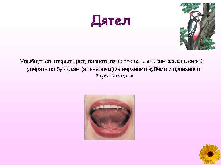 Дятел Улыбнуться, открыть рот, поднять язык вверх. Кончиком языка с силой ударять по бугоркам