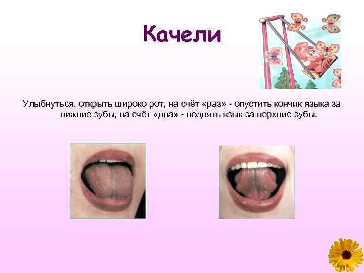 Качели Улыбнуться, открыть широко рот, на счёт «раз» опустить кончик языка за нижние зубы,