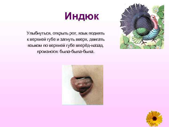 Индюк Улыбнуться, открыть рот, язык поднять к верхней губе и загнуть вверх, двигать языком