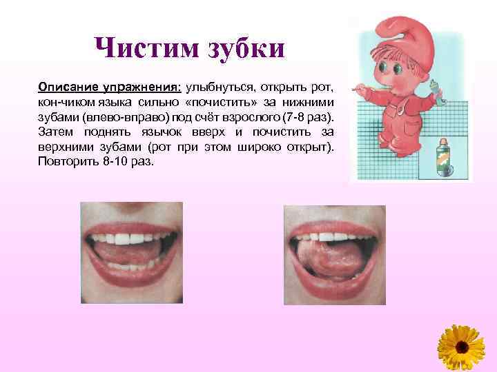 Чистим зубки Описание упражнения: улыбнуться, открыть рот, кон чиком языка сильно «почистить» за нижними