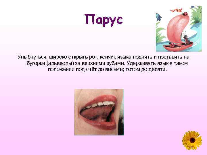 Парус Улыбнуться, широко открыть рот, кончик языка поднять и поставить на бугорки (альвеолы) за