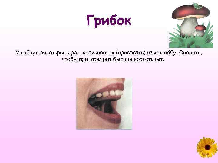 Грибок Улыбнуться, открыть рот, «приклеить» (присосать) язык к нёбу. Следить, чтобы при этом рот