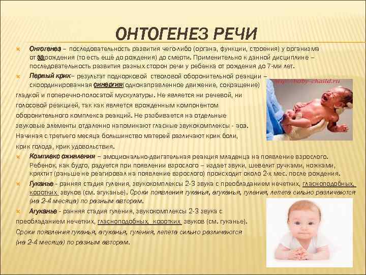 ОНТОГЕНЕЗ РЕЧИ Онтогенез – последовательность развития чего-либо (органа, функции, строения) у организма от зарождения