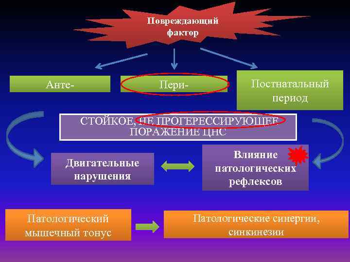 Повреждающий фактор Анте- Пери- Постнатальный период CТОЙКОЕ, НЕ ПРОГЕРЕССИРУЮЩЕЕ ПОРАЖЕНИЕ ЦНС Двигательные нарушения Патологический