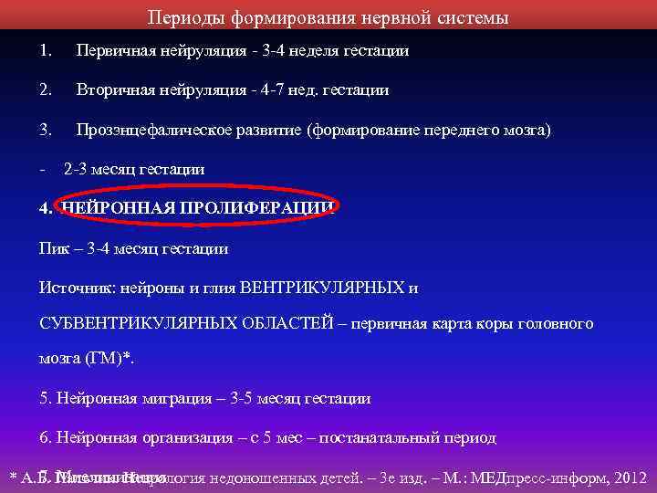 Периоды формирования нервной системы 1. Первичная нейруляция - 3 -4 неделя гестации 2. Вторичная