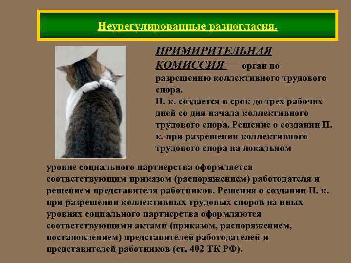 Неурегулированные разногласия. ПРИМИРИТЕЛЬНАЯ КОМИССИЯ — орган по разрешению коллективного трудового спора. П. к. создается