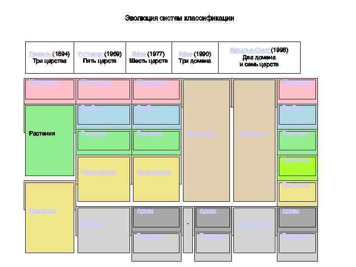 Эволюция систем классификации Геккель (1894) Три царства Животные Уиттекер (1969) Пять царств Вёзе (1977)