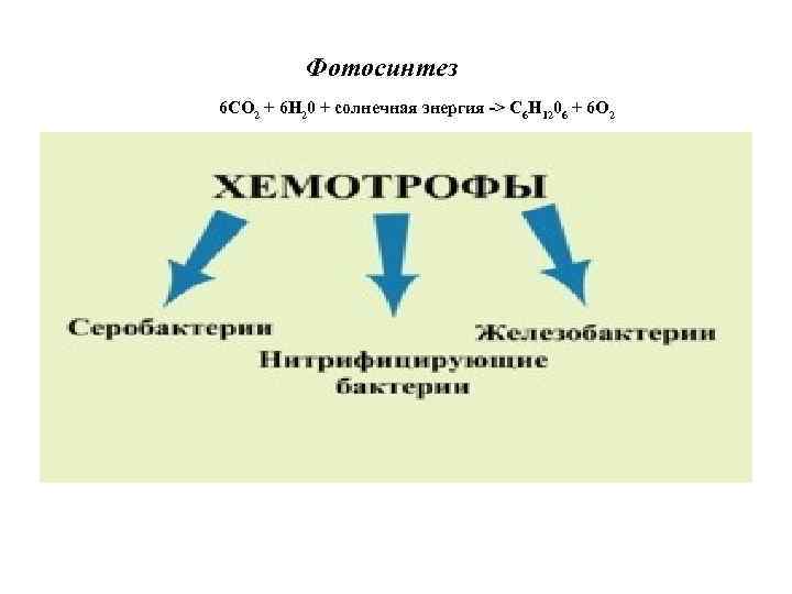 Фотосинтез 6 СО 2 + 6 Н 20 + солнечная энергия -> С 6