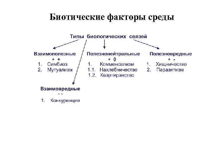 Схема классификация экологических факторов