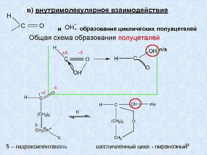 в) внутримолекулярное взаимодействие и - образование циклических полуацеталей Общая схема образования полуцеталей п/а 5