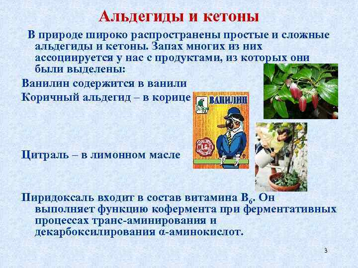 Альдегиды и кетоны В природе широко распространены простые и сложные альдегиды и кетоны. Запах