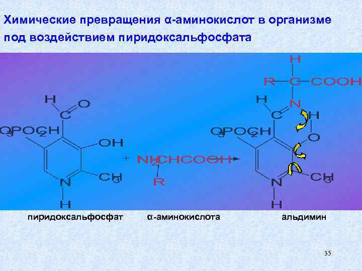 Химия и превращения алкоголя проект