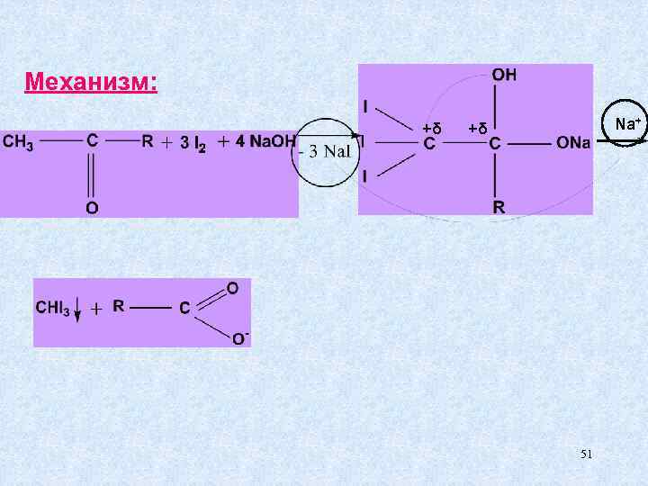 Механизм: +δ Na+ +δ 51 