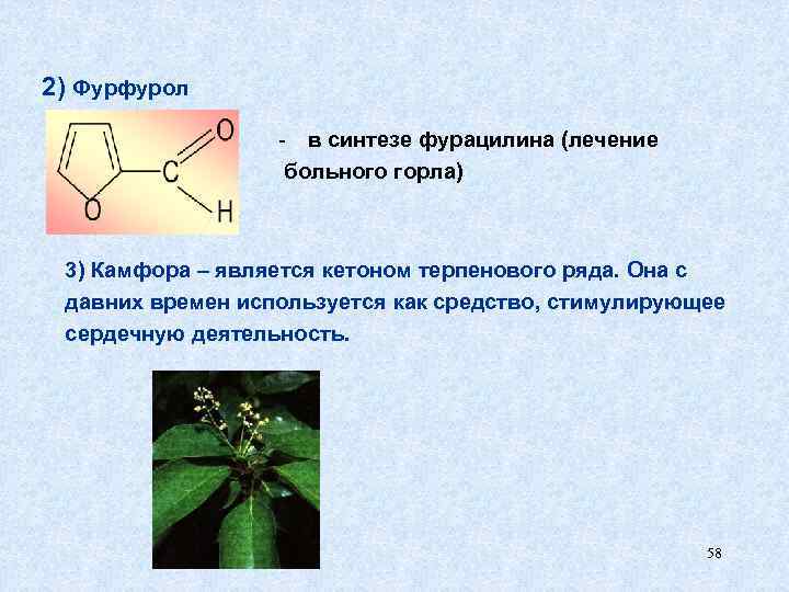 2) Фурфурол - в синтезе фурацилина (лечение больного горла) 3) Камфора – является кетоном