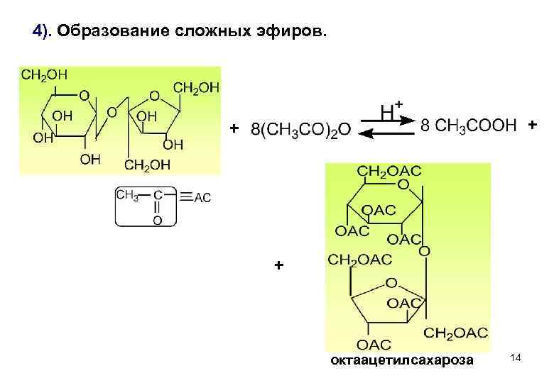 4). Образование сложных эфиров. + + + октaацетилсахароза 14 