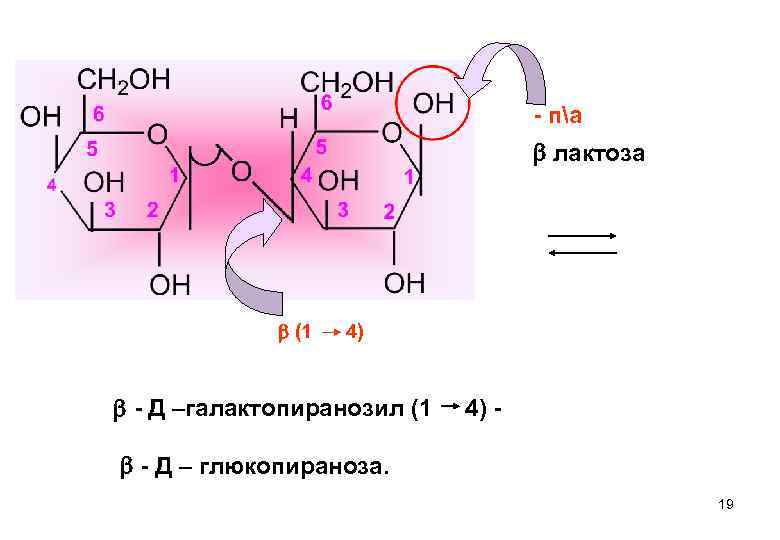 - па лактоза (1 4) - Д –галaктопиранозил (1 4) - - Д –