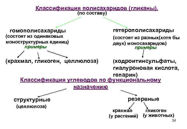 Ди и полисахариды. Гетерополисахариды соединительной ткани. Кофакторная функция полисахаридов. Классификация ди и полисахаридов. Классификация полисахаридов биохимия.