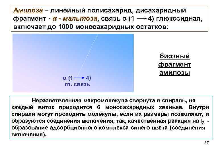 Амилоза – линейный полисахарид, дисахаридный фрагмент - - мальтоза, связь (1 4) глюкозидная, включает