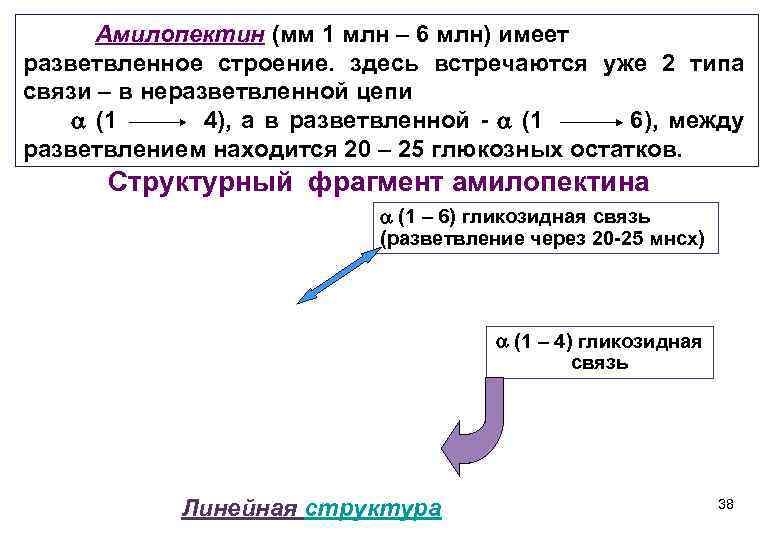 Амилопектин (мм 1 млн – 6 млн) имеет разветвленное строение. здесь встречаются уже 2