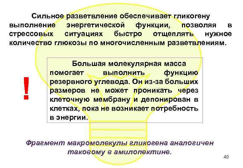 Сильное разветвление обеспечивает гликогену выполнение энергетической функции, позволяя в стрессовых ситуациях быстро отщеплять нужное