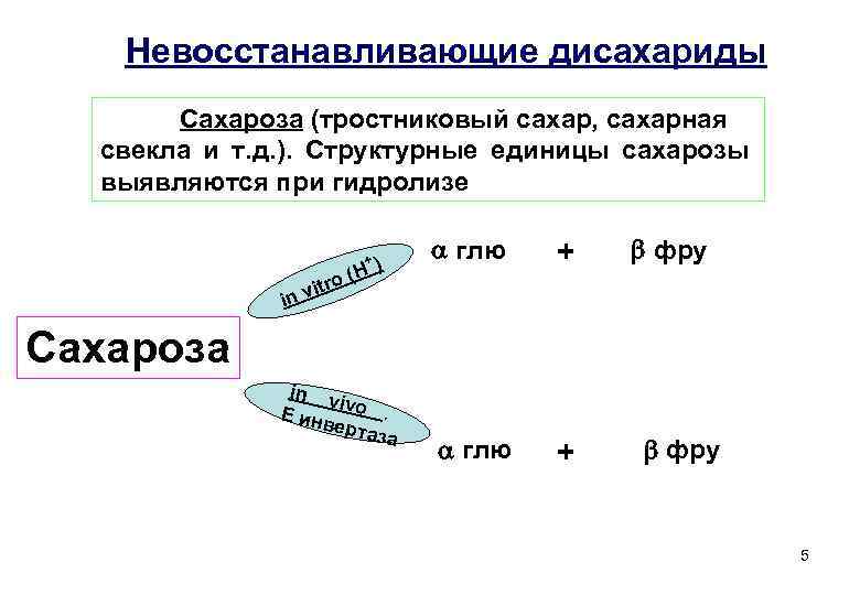 Невосстанавливающие дисахариды Сахароза (тростниковый сахар, сахарная свекла и т. д. ). Структурные единицы сахарозы