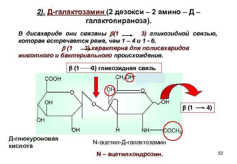 2). Д-галактозамин (2 дезокси – 2 амино – Д – галактопираноза). В дисахариде они