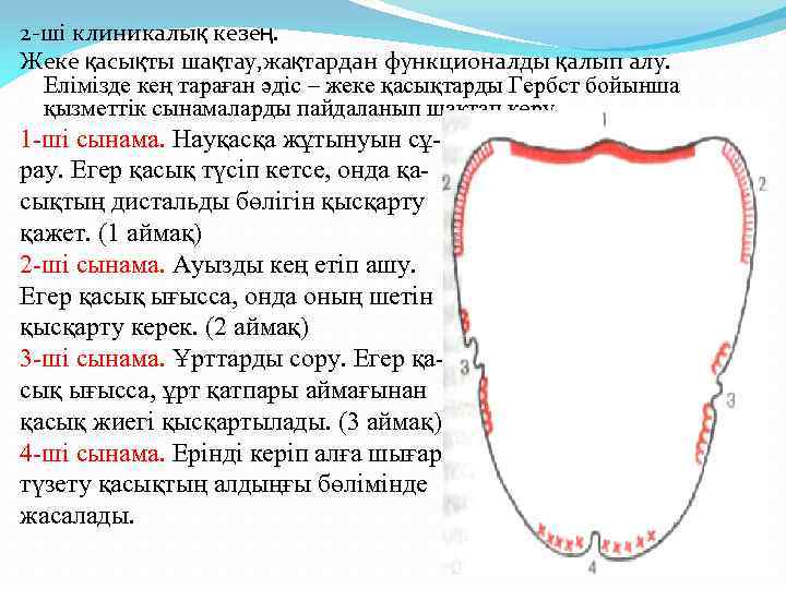 Диаграмма хаулея гербера гербста