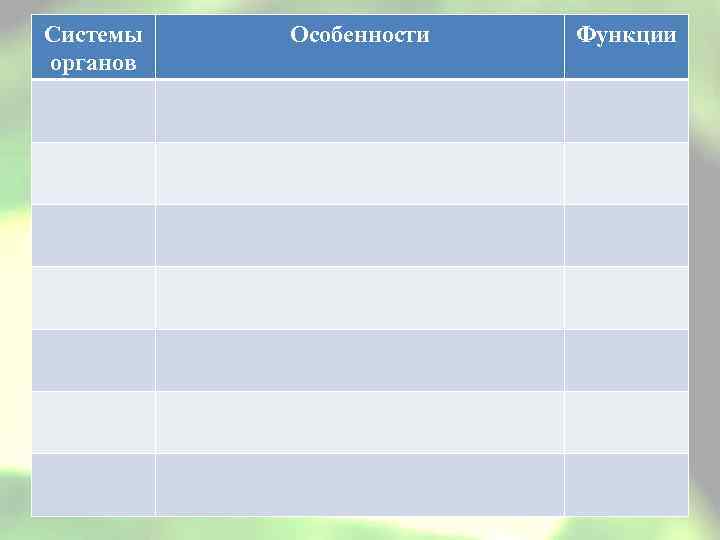 Системы органов Особенности Функции 