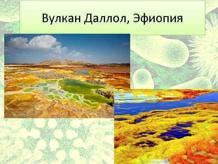 Вулкан Даллол, Эфиопия 