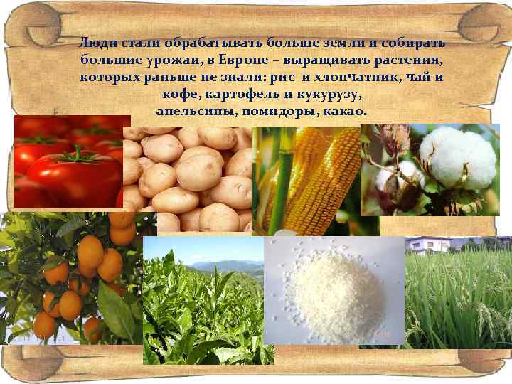 Люди стали обрабатывать больше земли и собирать большие урожаи, в Европе – выращивать растения,