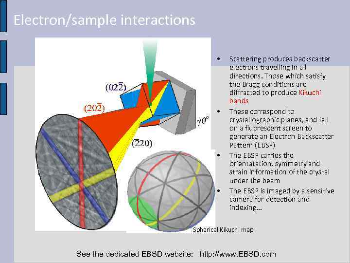 Electron/sample interactions • • Scattering produces backscatter electrons travelling in all directions. Those which