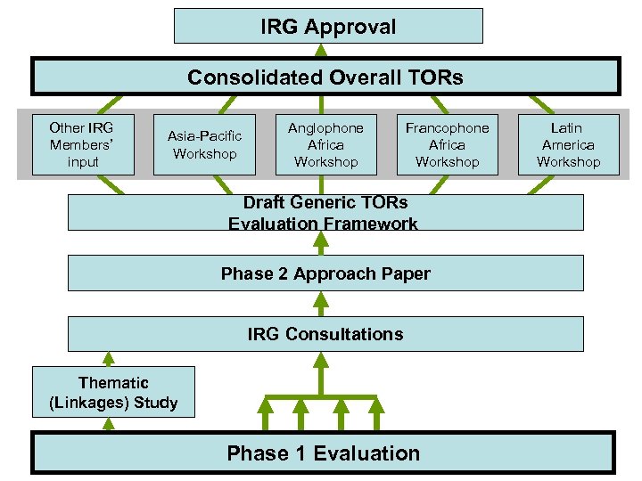 IRG Approval Consolidated Overall TORs Other IRG Members’ input Asia-Pacific Workshop Anglophone Africa Workshop