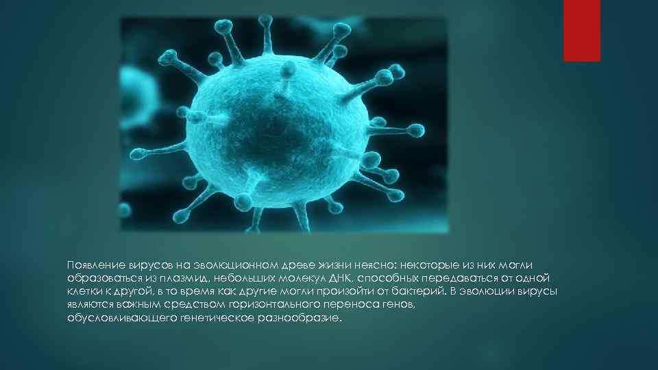 История появления вирусов. Появление вирусов. Цепочка появления вирусных. Балтимор появление вирусов. Какой новый вирус появился в 2022.